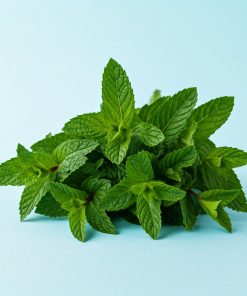 A bunch of peppermint