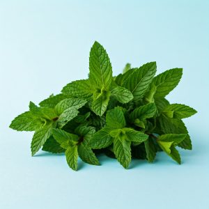 A bunch of peppermint