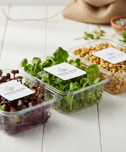 halifax fresh microgreens